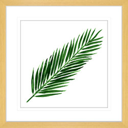 Flora and Fauna Collection - Framed Art Prints (FAUN05) - Artwork