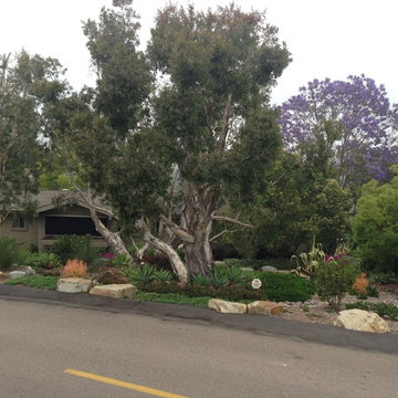 Design Build: Vista Botanical Home