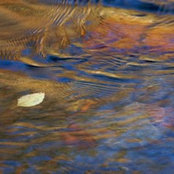 Flowing Leaf's photo