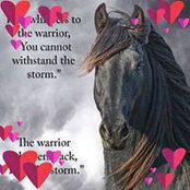 Victoria Wolc's photo