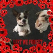 Sarah Kember's photo