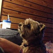Patsy Gilley's photo