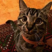 Teresa Leung's photo