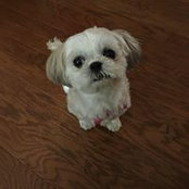 Judy Saathoff's photo