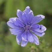Susan Mains's photo