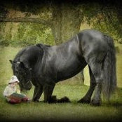 Maryjane Eichinger's photo