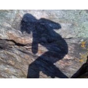 Judy Belushi Pisano's photo