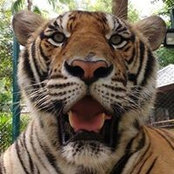 Mark Miller's photo