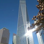 Susanne Zimmerer's photo