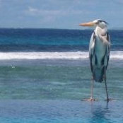 Sylvain Parodi's photo