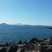 Gemellini Luisa's photo