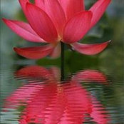 Nanci Maynes's photo