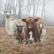 Brad Kraft's photo