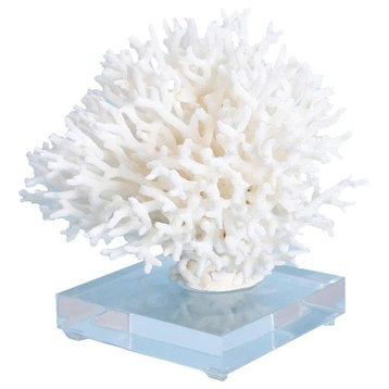 Sculpture Statue Birdsnest Coral Medium Varying Acrylic Base