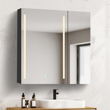 29.5'' H x29.51'' W Black Lighted Mirror Medicine Cabinet with Anti-fog