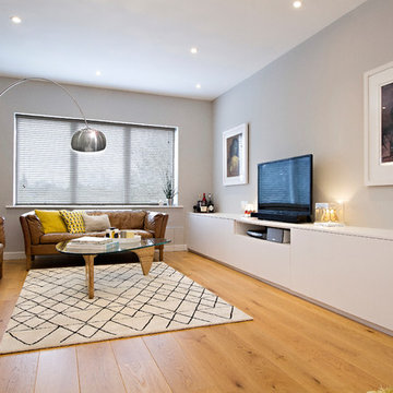 Modern Living and Entrance Hall