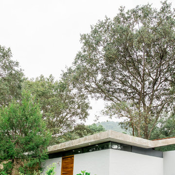 Casa en el Bosque