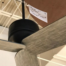fan