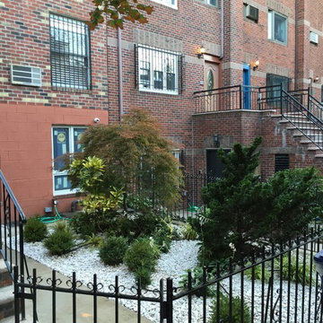 Front yard recovery in Brooklyn, NY