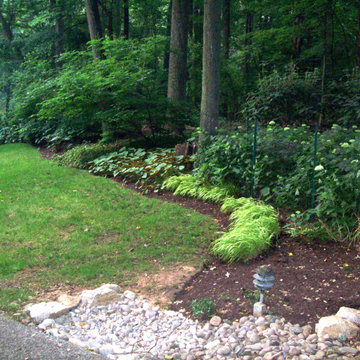 Meandering Woodland Garden