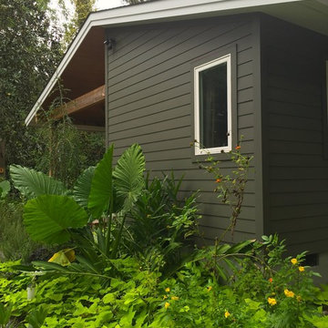 The Shotgun House