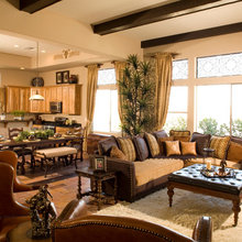 Living Room Ideas