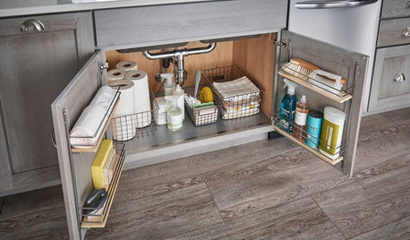The Tricks to Using Your Under-Sink Area for Kitchen Storage