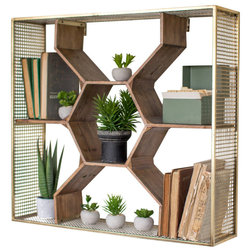 Contemporary Display And Wall Shelves  by GwG Outlet