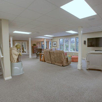 Basement Remodel - Rochester Hills, MI