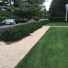 Garden Ideas