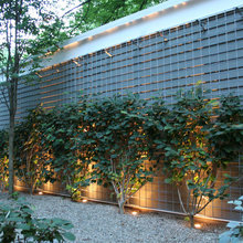 Landscape Trellis ideas