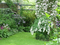 Wie lässt sich ein Schattengarten schön gestalten?