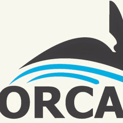 Orca Pools LLC