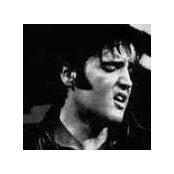 Michael Bodock's photo
