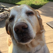 Susan Blasdell's photo