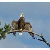 Norma Bennett's photo