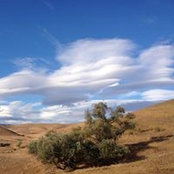 Alan Deng's photo