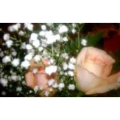 Melody Bordeaux's photo
