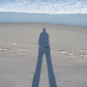 Susan Fox's photo