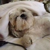 Paula Roper's photo