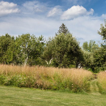 A Sustainable Homestead