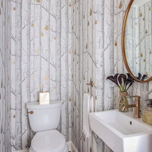 Powder Bathroom