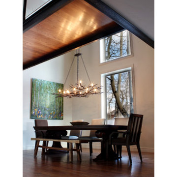 Contemporary Remodel