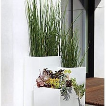 Outdoor Details