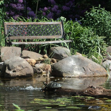 Ponds and Streams