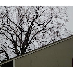 Great Western Tree Care - Products