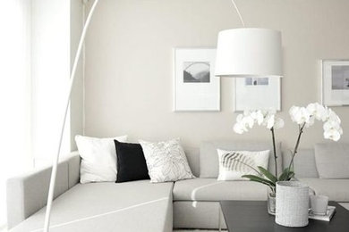 Esempio di ampi case e interni minimalisti
