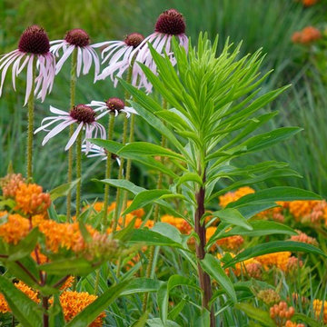 Marginal Way Garden