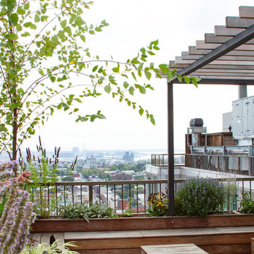 Rooftop Party Garden