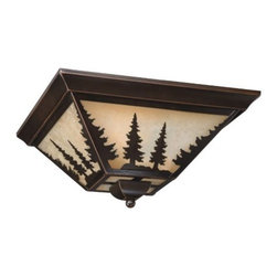 Vaxcel Lighting CC55514BBZ Three Light Down Lighting Flush Mount Ceiling Fixture - Flush-mount Ceiling Lighting